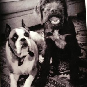 Meet your Posher, Kim